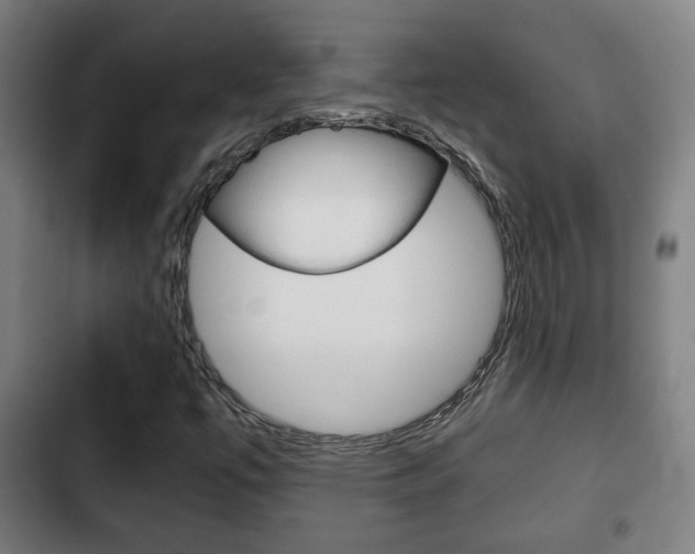 X0000103221447200808280915
