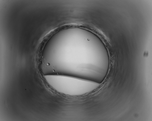X0000103221448200808280915
