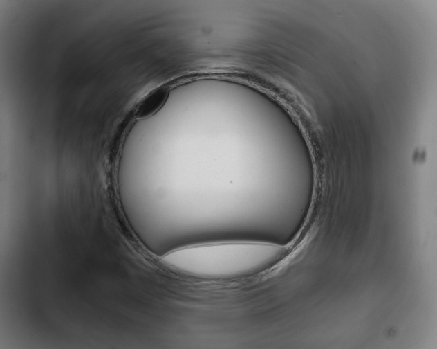 X0000103221449200808280915