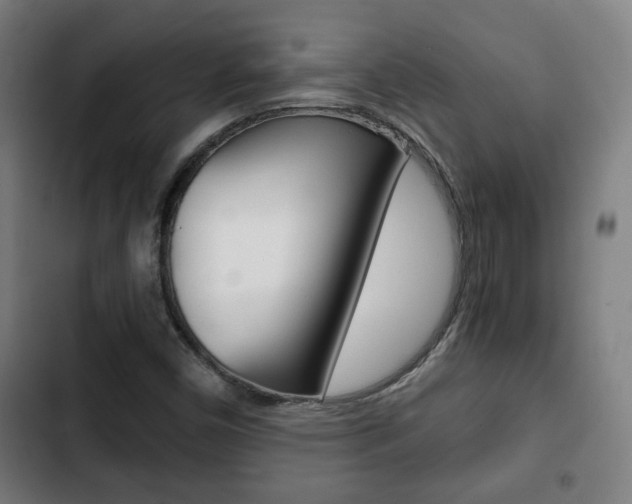 X0000103221450200808280915