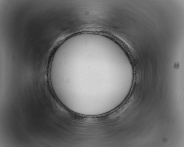 X0000103221451200808280915