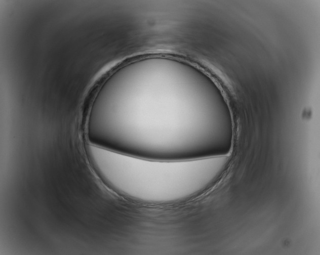 X0000103221452200808280915