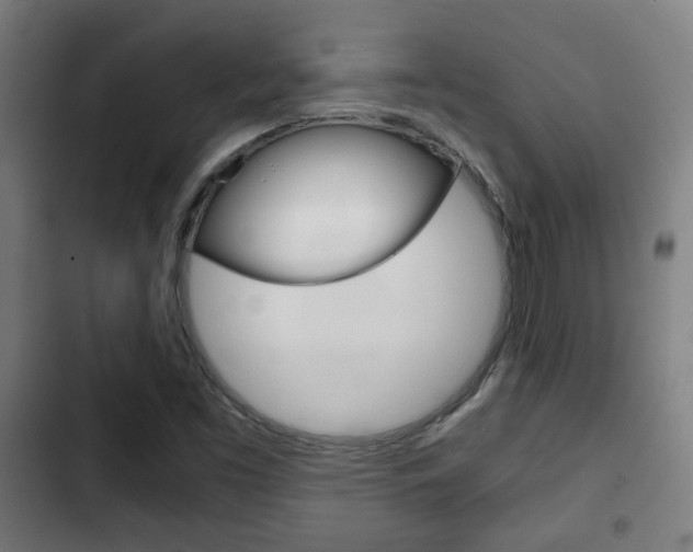 X0000103221453200808280915