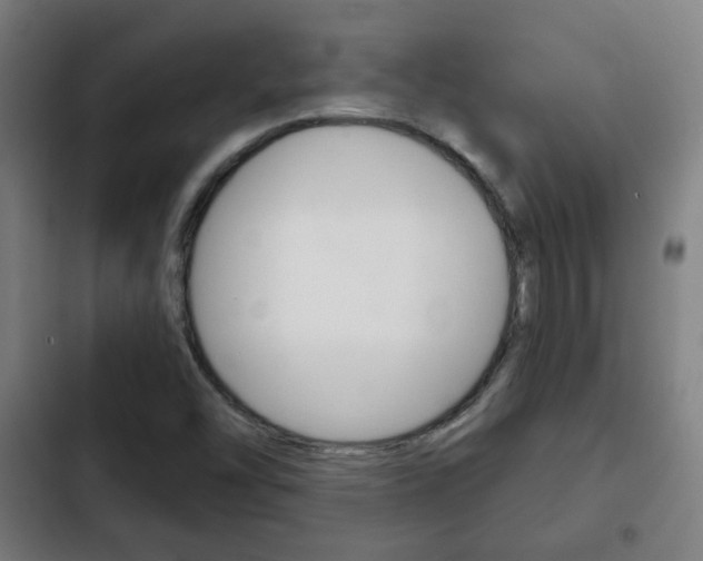 X0000103221454200808280915