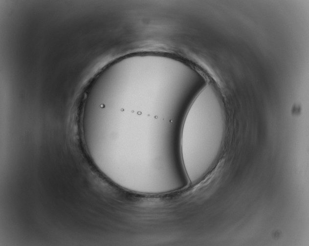 X0000103221455200808280915