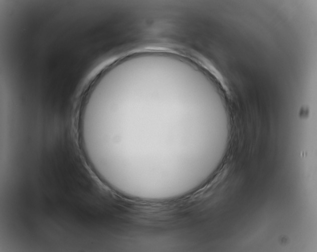 X0000103221456200808280915