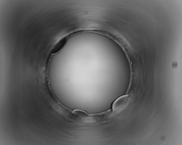 X0000103221457200808280915