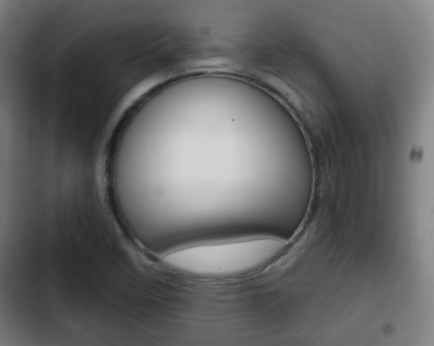 X0000103221458200808280915