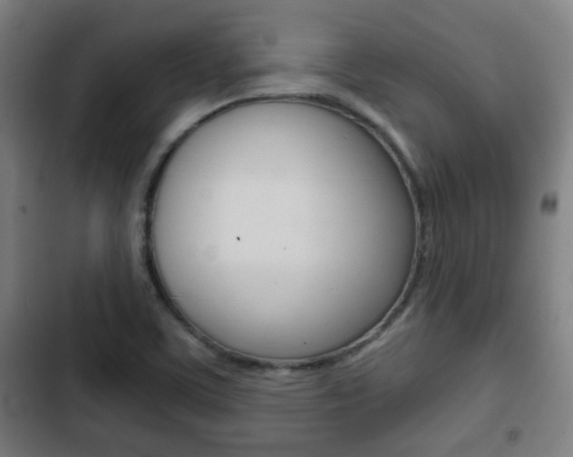 X0000103221459200808280915