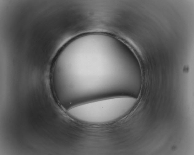 X0000103221460200808280915