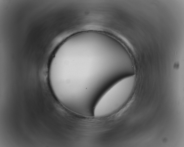 X0000103221461200808280915