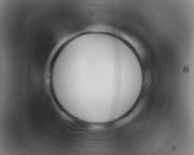 X0000103221462200808280915