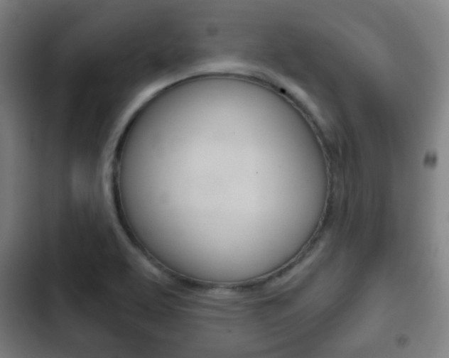 X0000103221463200808280914