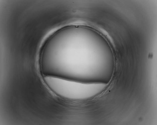 X0000103221464200808280914