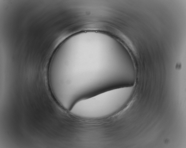 X0000103221465200808280914