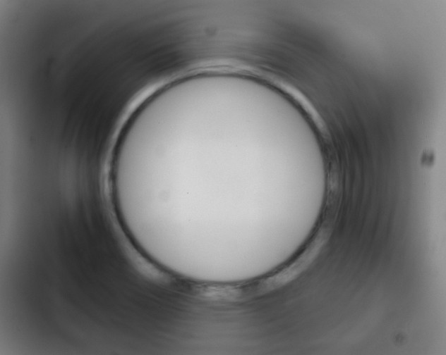 X0000103221466200808280914