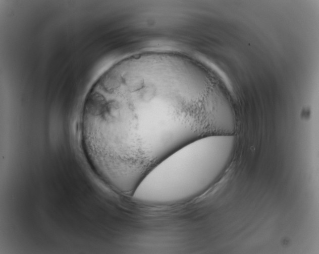 X0000103221467200808280914