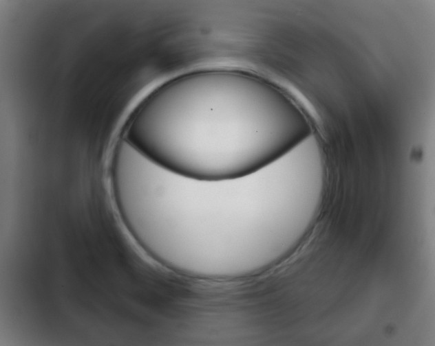 X0000103221468200808280914