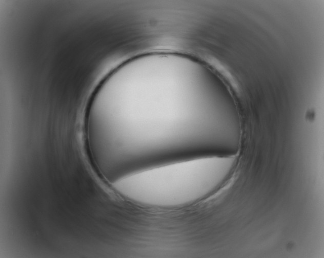 X0000103221469200808280914