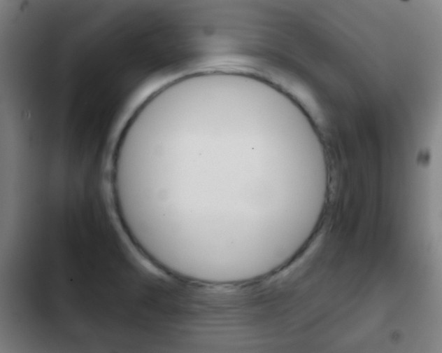 X0000103221470200808280914