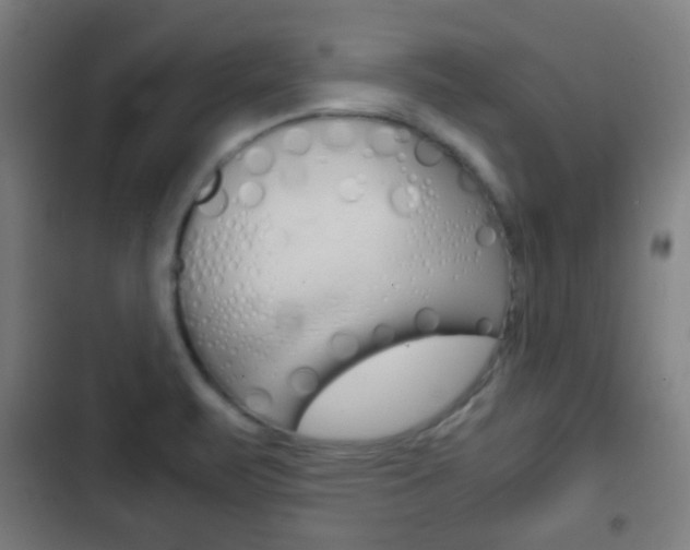 X0000103221471200808280914