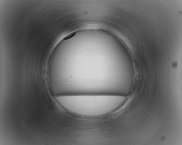 X0000103221473200808280914