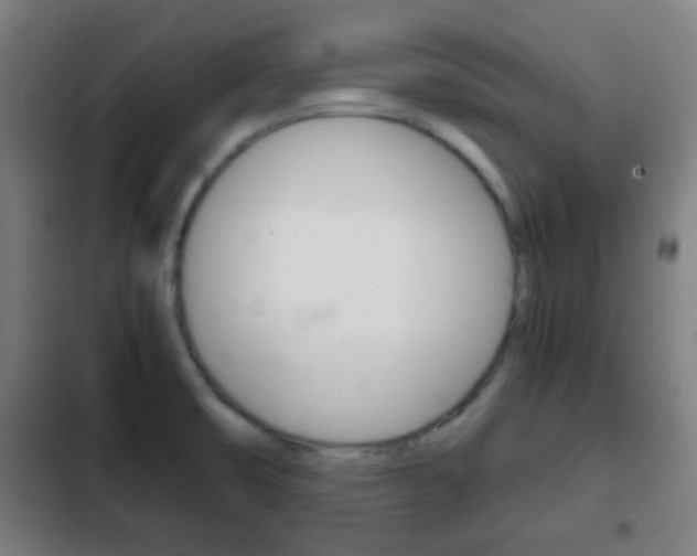 X0000103221474200808280914