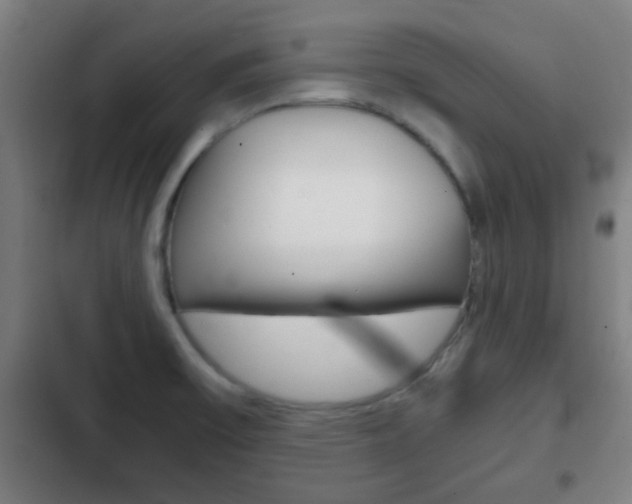 X0000103221475200808280914