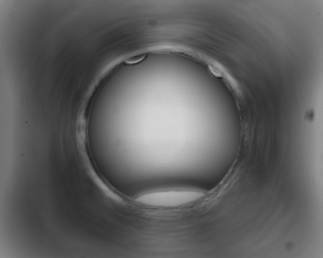 X0000103221476200808280914