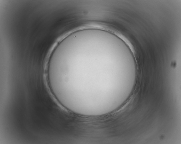 X0000103221477200808280914