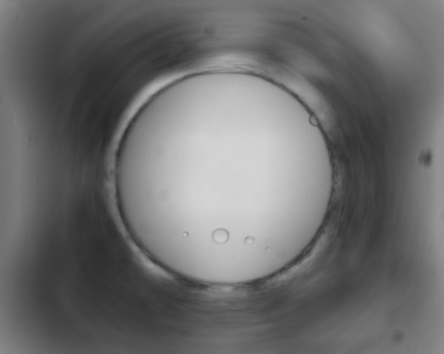 X0000103221478200808280914