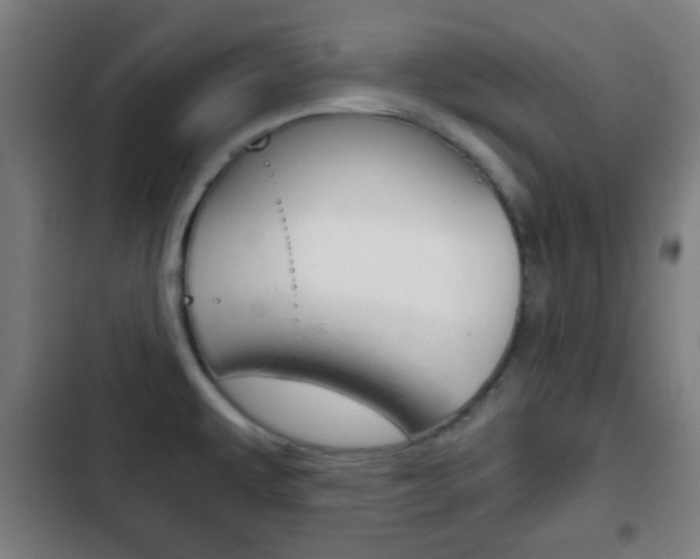 X0000103221479200808280914