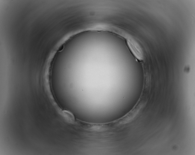 X0000103221480200808280914