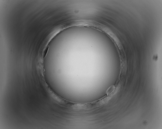 X0000103221481200808280914