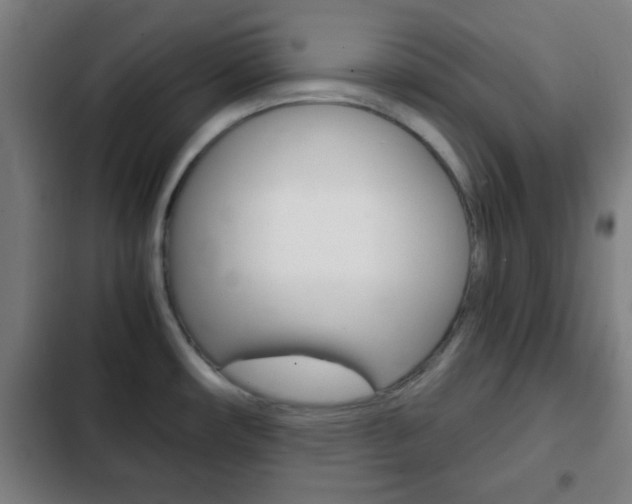 X0000103221482200808280914