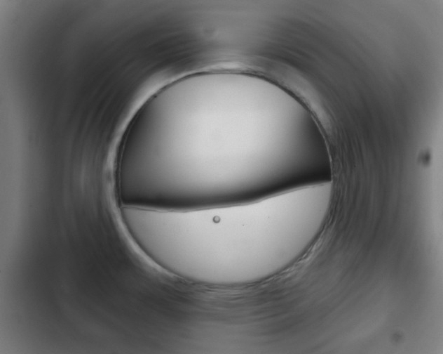 X0000103221483200808280914