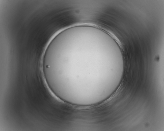 X0000103221484200808280914