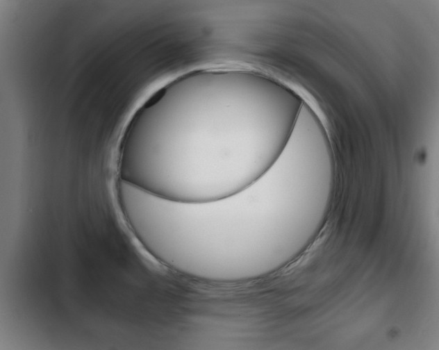 X0000103221485200808280914