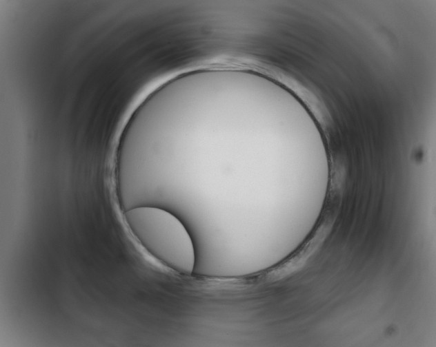 X0000103221486200808280914