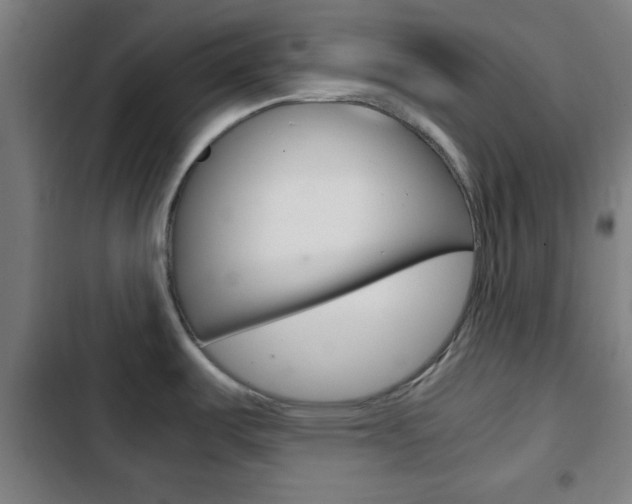 X0000103221487200808280914