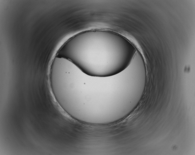 X0000103221488200808280914