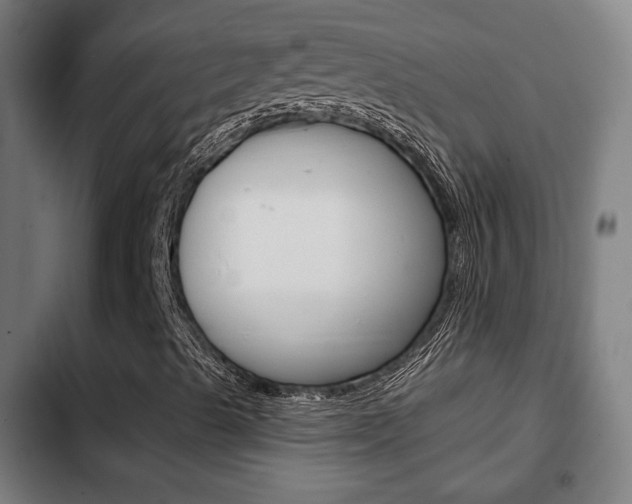 X0000103221489200808280913
