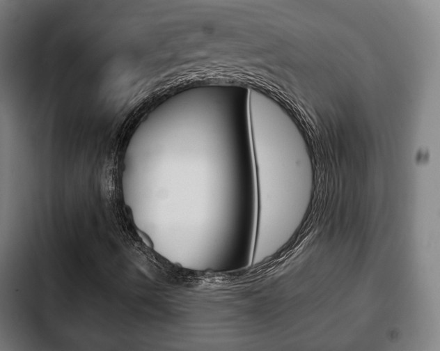 X0000103221490200808280913