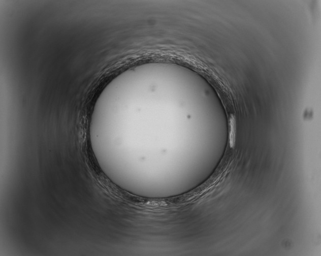 X0000103221491200808280913