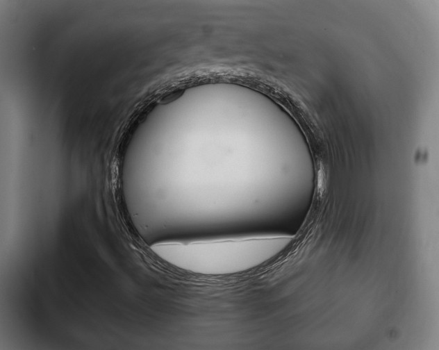 X0000103221492200808280913