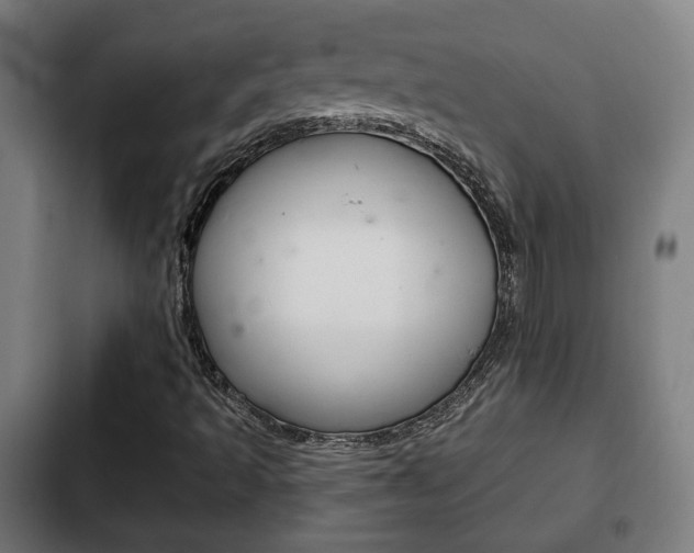 X0000103221493200808280913