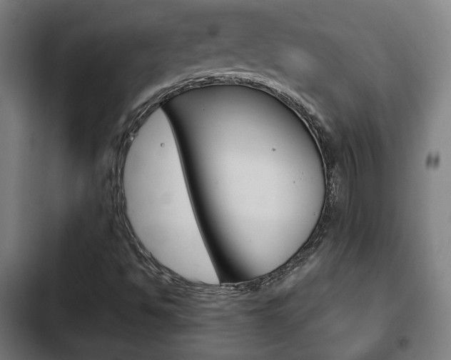 X0000103221494200808280913