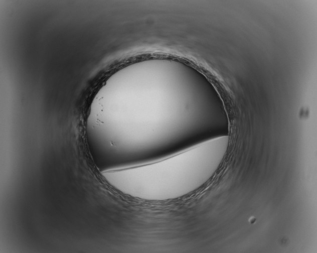 X0000103221495200808280913