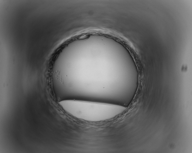 X0000103221496200808280913
