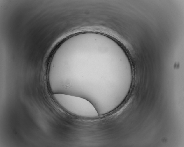 X0000103221498200808280913